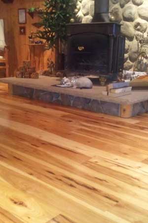 Fire place and wood Floor